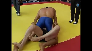 2395 hairy porn videos